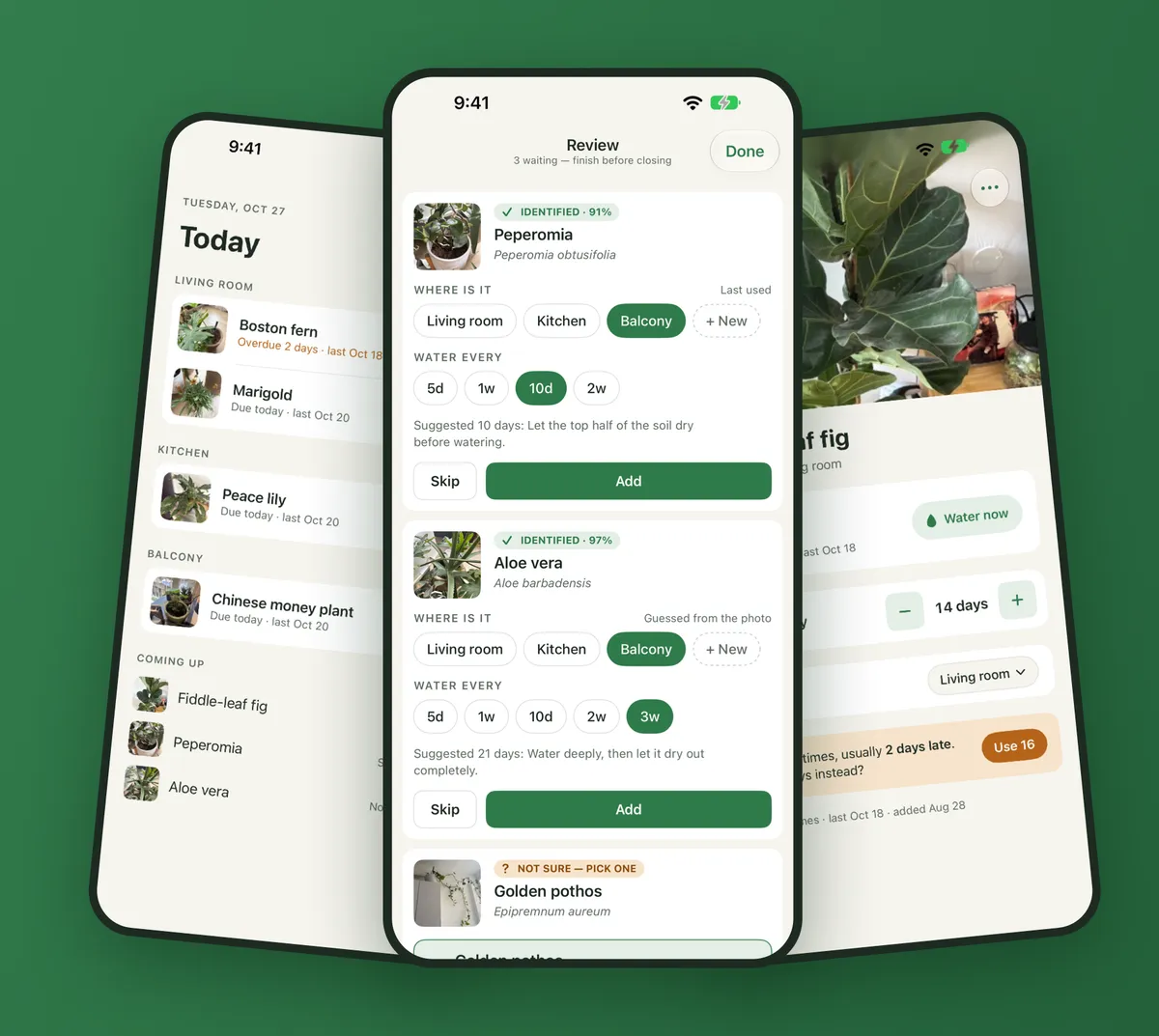 Sip on iPhone: the Today list, the review queue for new plants, and a fiddle-leaf fig's detail page