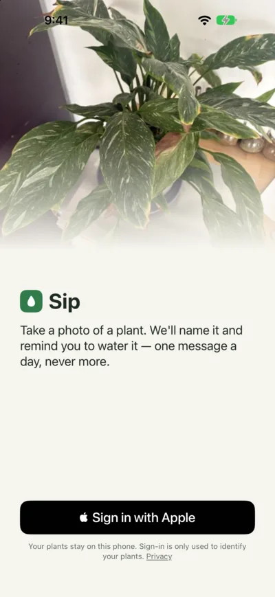 Sip welcome screen with Sign in with Apple